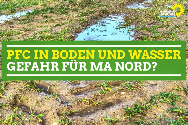 Diskussion: PFC in Boden und Wasser – Gefahr für Mannheim–Nord?