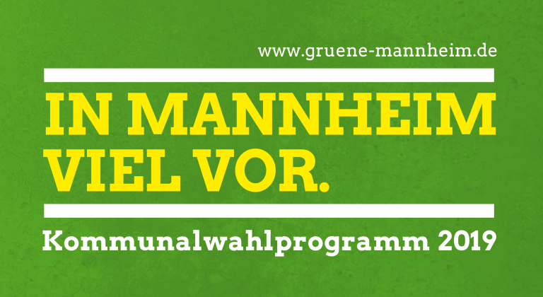 Der Weg zum Wahlprogramm