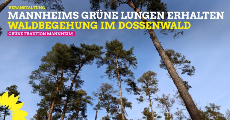 Mannheims GRÜNE Lungen erhalten – Gemeinsame Waldbegehung im Dossenwald